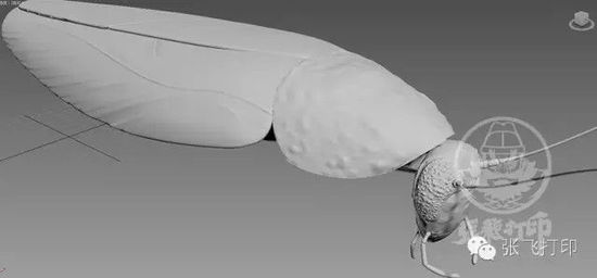 3D打印蟑螂小強誕生記(超精細) 妹紙膽小也可入
3D打印蟑螂,3D打印小強,3D打印技術,3D打印服務,3D打印平臺,e鍵打印