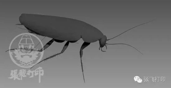 3D打印蟑螂小強誕生記(超精細) 妹紙膽小也可入
3D打印蟑螂,3D打印小強,3D打印技術,3D打印服務,3D打印平臺,e鍵打印