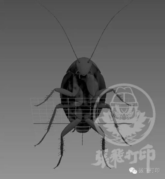 3D打印蟑螂小強誕生記(超精細) 妹紙膽小也可入
3D打印蟑螂,3D打印小強,3D打印技術,3D打印服務,3D打印平臺,e鍵打印