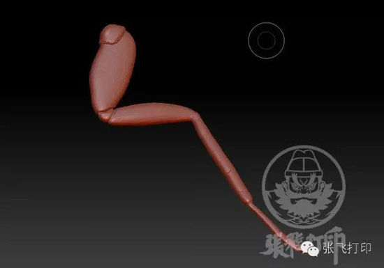 3D打印蟑螂小強誕生記(超精細) 妹紙膽小也可入
3D打印蟑螂,3D打印小強,3D打印技術,3D打印服務,3D打印平臺,e鍵打印