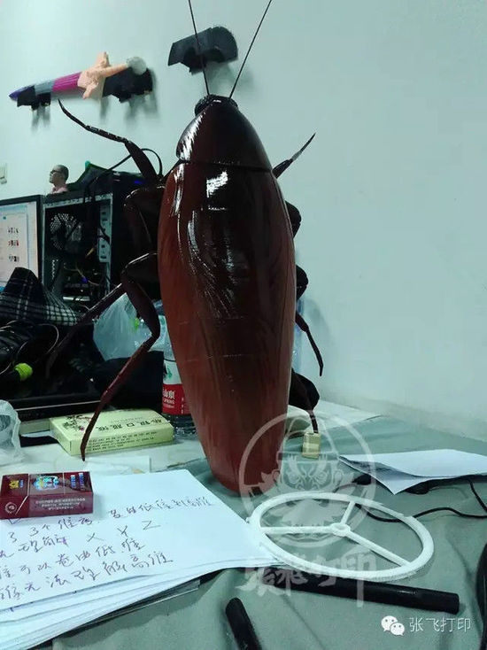 3D打印蟑螂小強誕生記(超精細) 妹紙膽小也可入
3D打印蟑螂,3D打印小強,3D打印技術,3D打印服務,3D打印平臺,e鍵打印