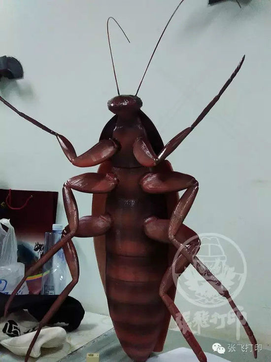 3D打印蟑螂小強誕生記(超精細) 妹紙膽小也可入
3D打印蟑螂,3D打印小強,3D打印技術,3D打印服務,3D打印平臺,e鍵打印