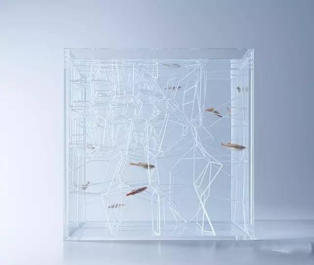 精美3d打印創意作品圖片欣賞 你見過3D打印的魚缸么?