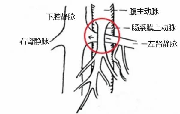 第四軍醫(yī)大學(xué)精彩分享個性化醫(yī)療3D打印的實戰(zhàn)案例與研究成果 第四軍醫(yī)大學(xué)精彩分享個性化醫(yī)療3D打印的實戰(zhàn)案例與研究成果